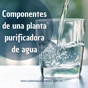 Componentes clave de una planta purificadora de agua