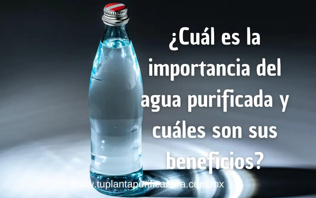 Importancia del agua purificada