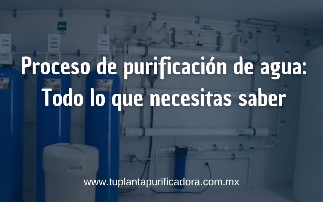 Proceso de Purificación de Agua en una Purificadora