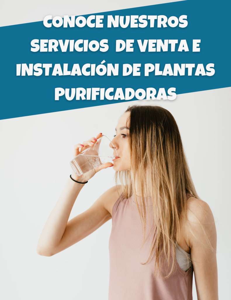 Venta de plantas purificadoras