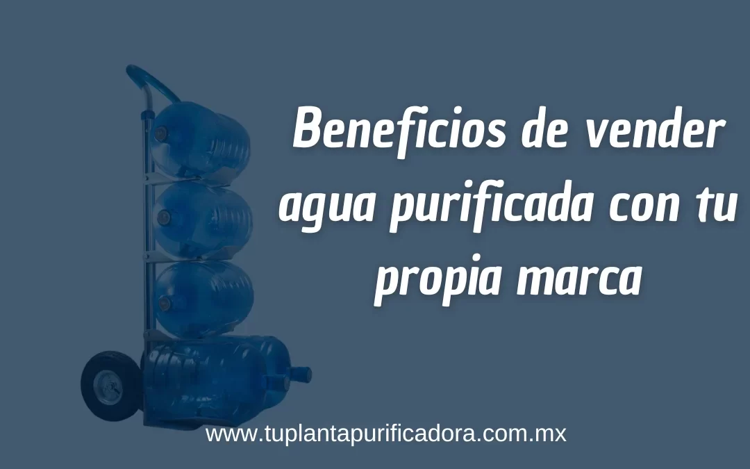 Beneficios de vender agua purificada con tu propia marca