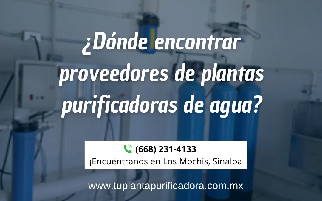 Dónde encontrar proveedores de plantas purificadoras