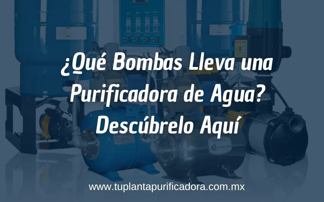 Bombas para una purificadora de agua
